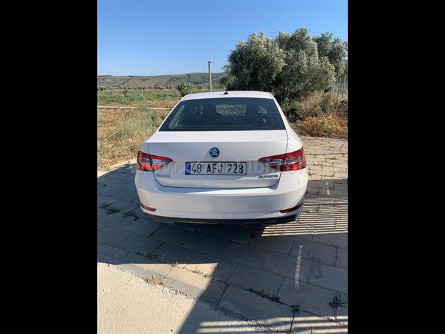 Skoda SuperB 1.6 TDI 2017 Model Çok Temiz